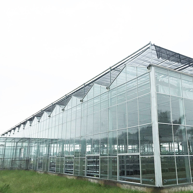 9.6m/10.8m/12m Breite Aluminiumlegierungsrahmen Landwirtschaftsglas Venlo Mehrspannung Gewächshaus mit Dreiecksdachform