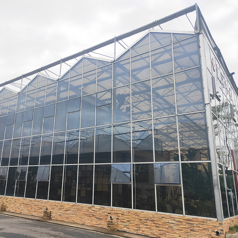 Hot Dip Galvanized Stahlkonstruktion und verstärkte Glasbedeckung für eine optimale Belüftung in landwirtschaftlichen Glas Gewächshäusern