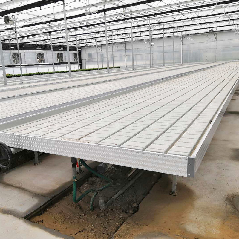 Ebb and Flow 4FT*8FT vertikale hydroponische bewegliche Rollbank Wachstumstisch mit Stange