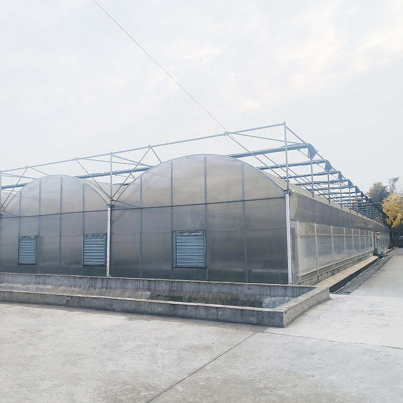 Dreieckdachformerei Handelsgewerbe Großkanal Glashaus Blumenbau Gotische Gewächshaus