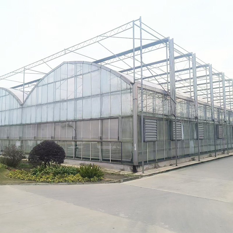 Industrie-Landwirtschaft Luxus Venlo Temperglashaus Kraut Gewächshaus mit stabiler Struktur und Heizungssystem
