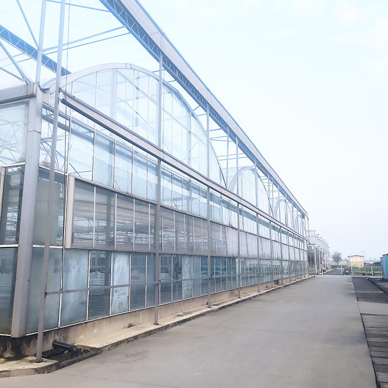 Industrie-Landwirtschaft Luxus Venlo Temperglashaus Kraut Gewächshaus mit stabiler Struktur und Heizungssystem