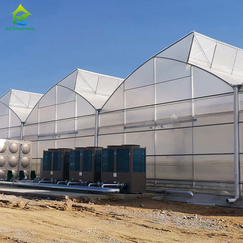 Kunststoff UV-Film Poly Tunnel Landwirtschaftliche Sägezahn Mehrspann-Maßgeschneiderte Gewächshaus zum Verkauf