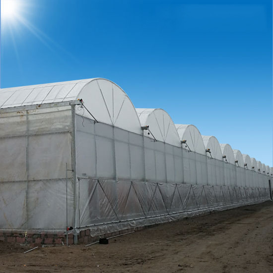 Stabile Struktur Windbeständig Mehrspanngroßer Tunnel Polyfilm Hydroponisches Gewächshaus für Bewässerung