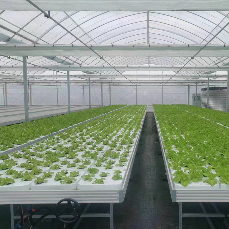 Gartenbau-Maßnahme Gewächshaus wachsen Tisch Hydroponische Ebbe Flut Rollbank