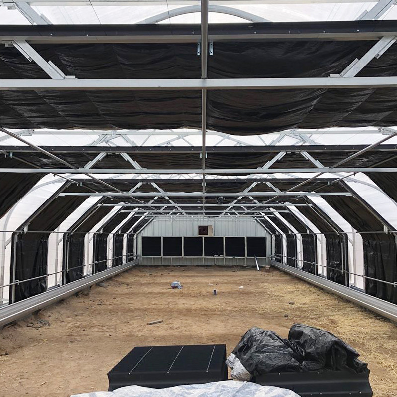 Ganz leichte Treibhauseinrichtung mit Blackout-Film und kundenspezifischer Hot Galvanized Steel Pipe Frame