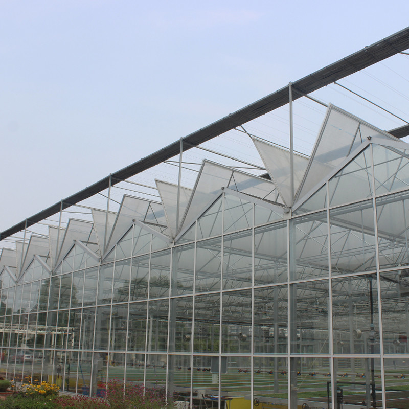 Heißgetränktes, galvanisiertes, mehrspannendes Venlo-gehärtetes Glas-Tomaten-Gewächshaus für optimale Wachstumsbedingungen