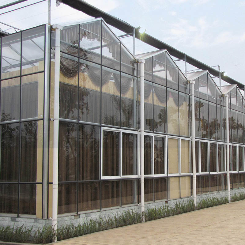 Heißgetränktes, galvanisiertes, mehrspannendes Venlo-gehärtetes Glas-Tomaten-Gewächshaus für optimale Wachstumsbedingungen