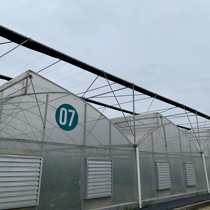 Kunststoff UV-Film Poly Tunnel Landwirtschaftliche Sägezahn Mehrspann-Maßgeschneiderte Gewächshaus zum Verkauf