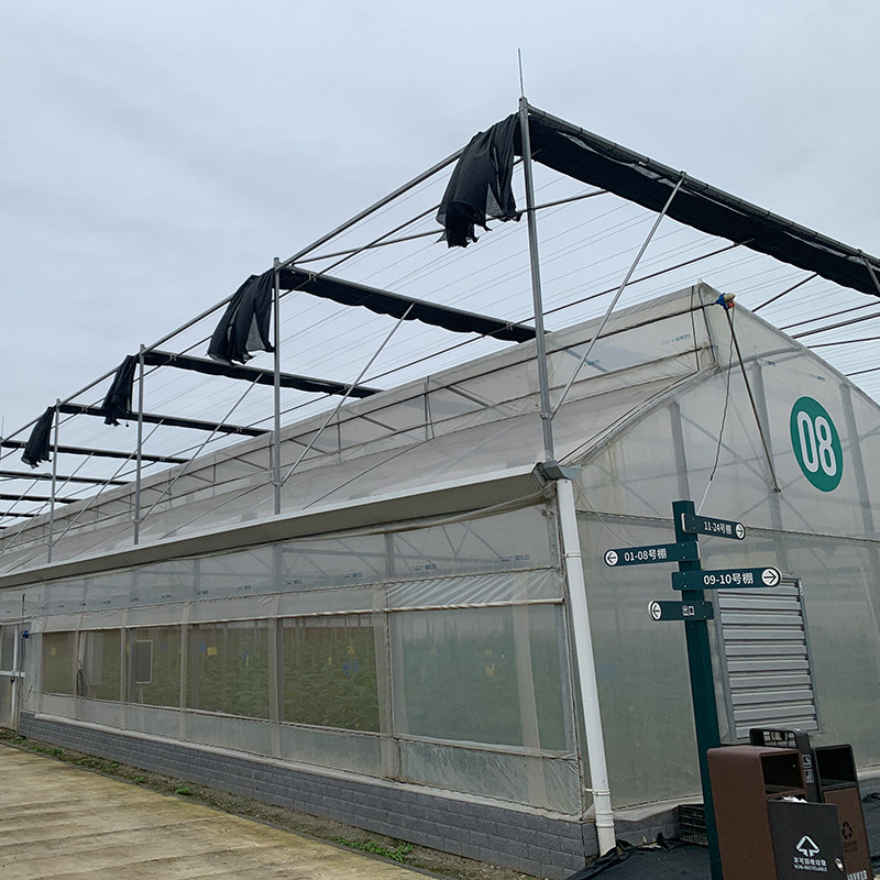 Multi-Span Poly Tunnel Gewächshaus mit Sägezahndach für natürliche Belüftung und Lichtstreuung