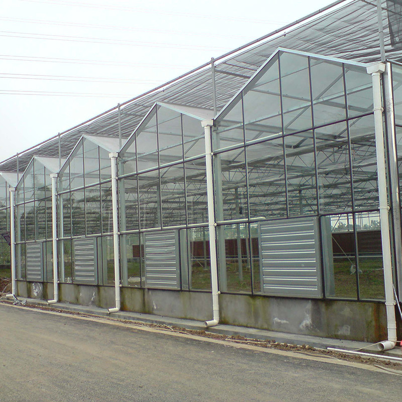 Hot Dip Galvanized Stahlkonstruktion Automatische Belüftung Landwirtschaftliches Glas Venlo Mehrspann-Tomatensamen Gewächshaus