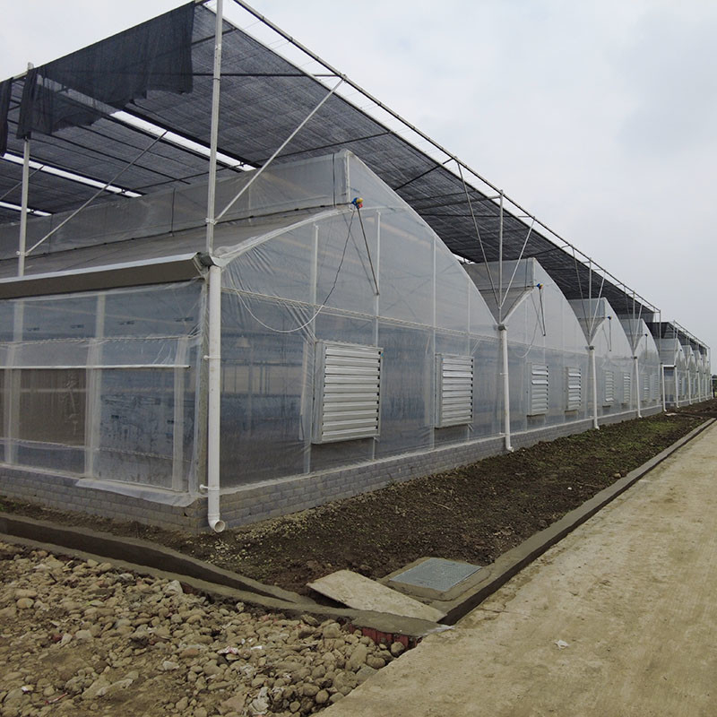 Kunststoff UV-Film Poly Tunnel Landwirtschaftliche Sägezahn Mehrspann-Maßgeschneiderte Gewächshaus zum Verkauf