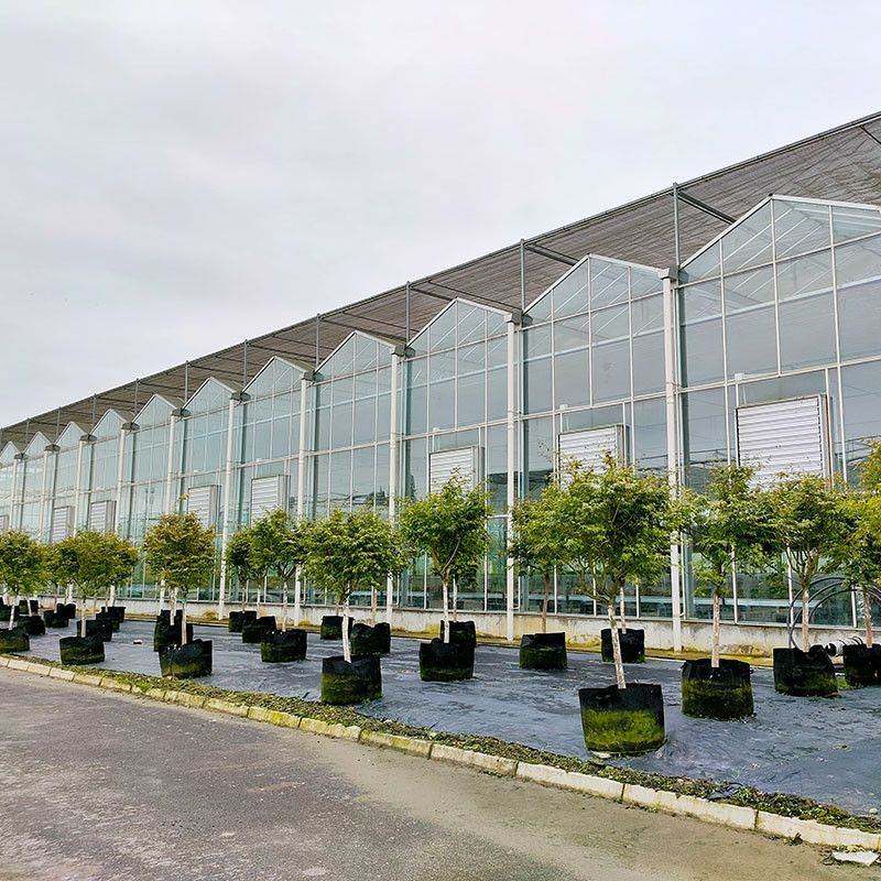 Hot Dip Galvanized Stahlkonstruktion Automatische Belüftung Landwirtschaftliches Glas Venlo Mehrspann-Tomatensamen Gewächshaus