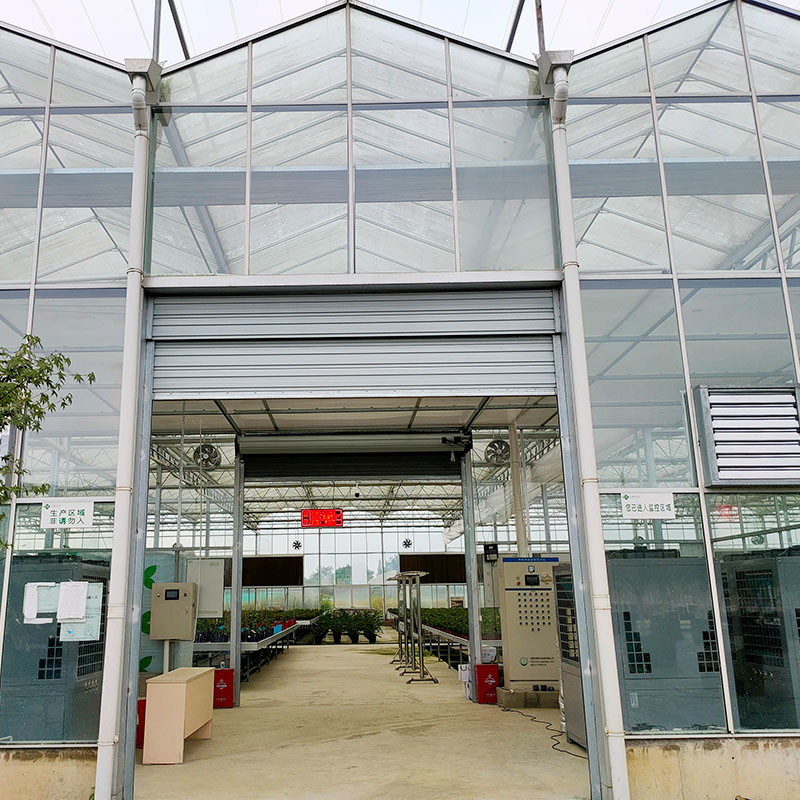 Hot Dip Galvanized Stahlkonstruktion Automatische Belüftung Landwirtschaftliches Glas Venlo Mehrspann-Tomatensamen Gewächshaus