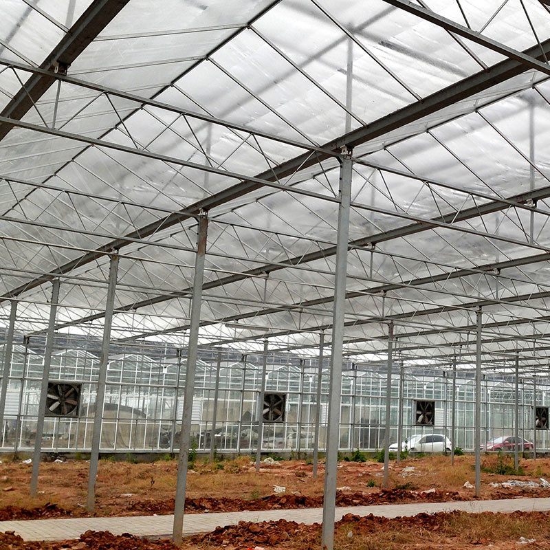 Automatische Lüftung Landwirtschaftliches Glas Venlo Großer Tunnel Tomaten Gewächshäuser mit Kühlsystem Pad und Ventilatorsystem