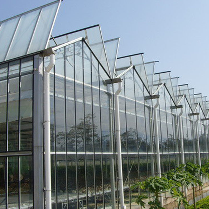 Automatische Lüftung Landwirtschaftliches Glas Venlo Großer Tunnel Tomaten Gewächshäuser mit Kühlsystem Pad und Ventilatorsystem