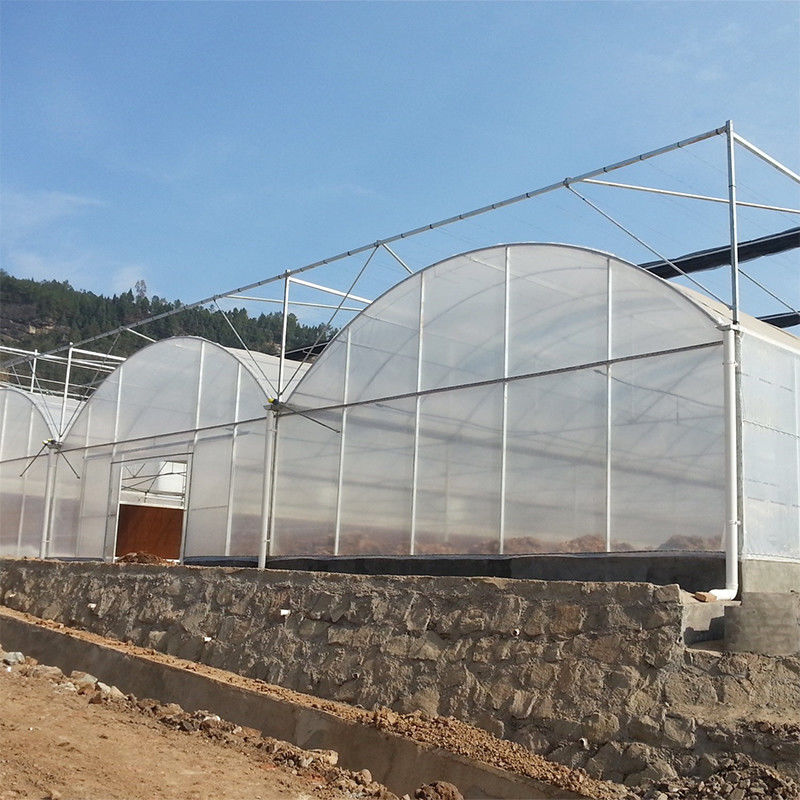 Modularisiertes Design von kommerziellen Polytunnels mit mehreren Spannungen