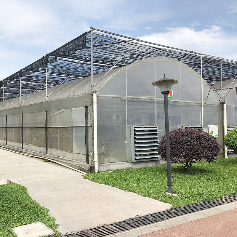Stabiler Aufbau Industrie-Plastik-PE-Film Mehrspann-Landwirtschaftliches Blumenhaus Poly Tunnel Gewächshaus