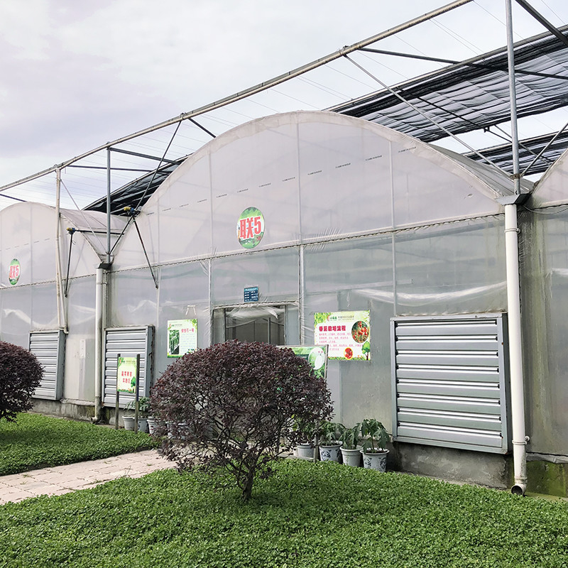 Stahlstruktur Großer Tunnel Maßgeschneiderte Mehrspann-Plastik-Blueberry-Wachstumsgewächshäuser für eine stabile Struktur