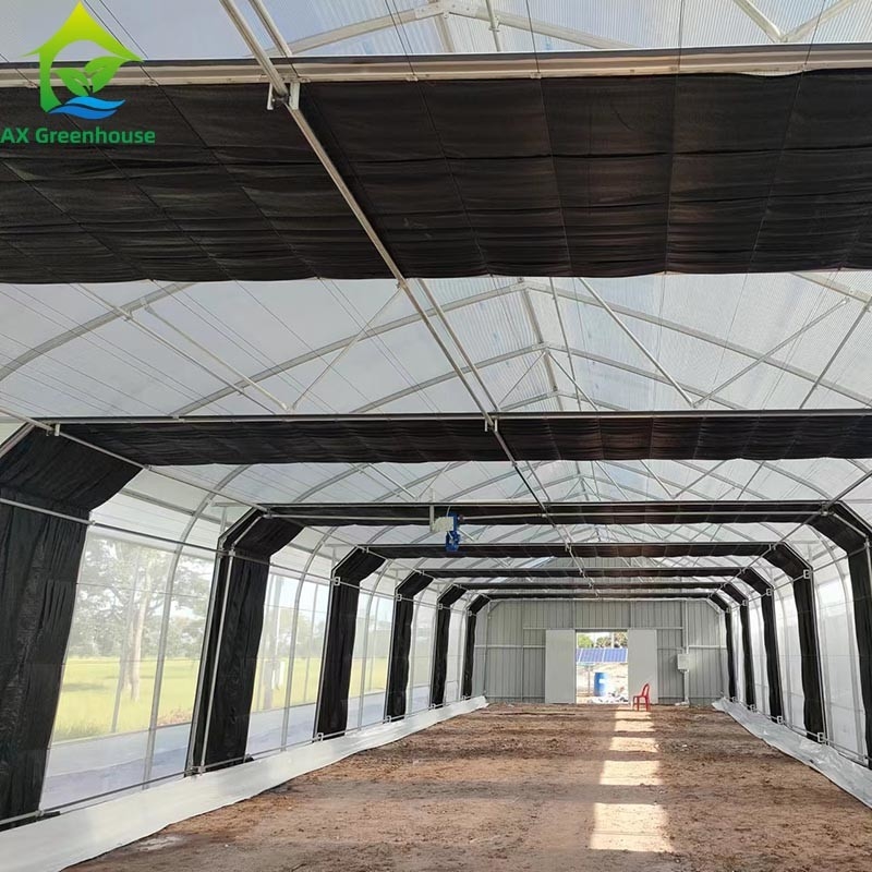 angepasste landwirtschaftliche Saatgutlichtentzug Blackout Single-Span Film Gewächshaus Zelt für die kommerzielle Landwirtschaft
