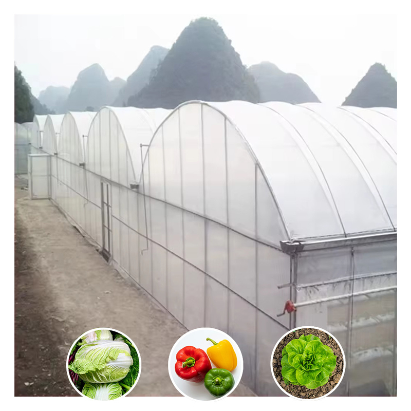 Warmverkauf kundenspezifische Poly Tunnel Multi-Span UV-resistente Film Gewächshäuser für Tomaten