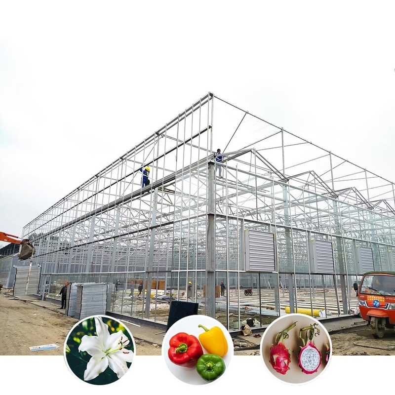 Allwetterlösung für die Landwirtschaft Stabile Struktur Gewächshaus mit heiß eingetauchtem galvanisiertem Stahl und kommerziellem Glas