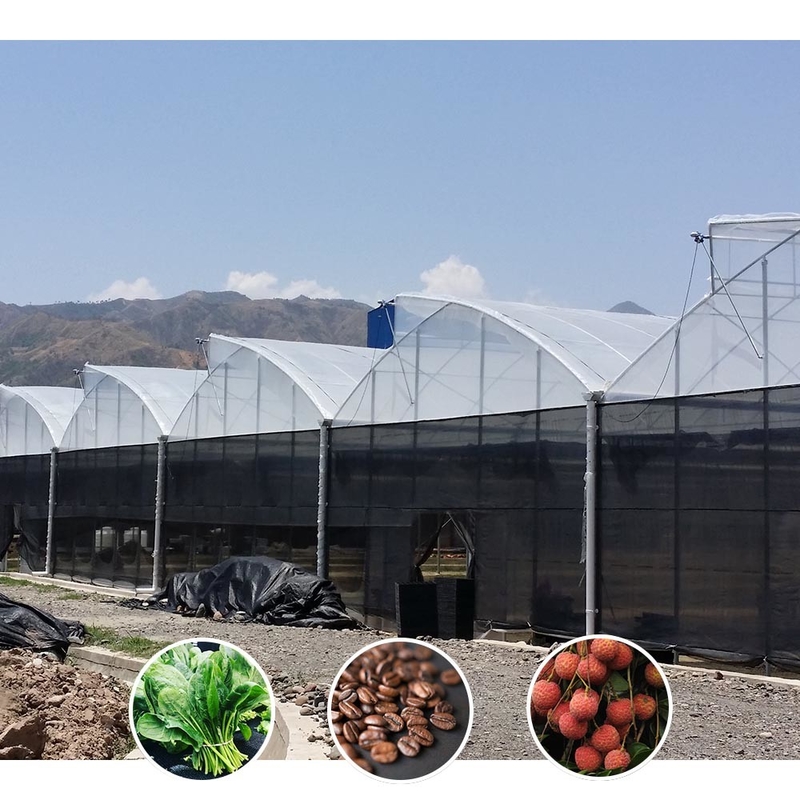 Kunststoff UV-Film Poly Tunnel Landwirtschaftliche Sägezahn Mehrspann-Maßgeschneiderte Gewächshaus zum Verkauf