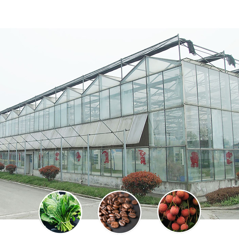 Allwetterlösung für die Landwirtschaft Stabile Struktur Gewächshaus mit heiß eingetauchtem galvanisiertem Stahl und kommerziellem Glas