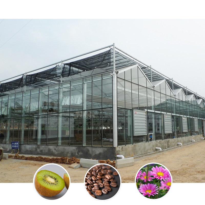 Mehrspannen-Venlo-Glas-Landwirtschaftlichem Gewächshaus mit Dreieckdachform und oberseitiger Lüftung für die Lüftung