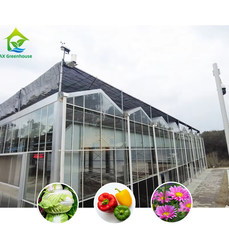 Mehrspannen-Venlo-Glas-Landwirtschaftlichem Gewächshaus mit Dreieckdachform und oberseitiger Lüftung für die Lüftung