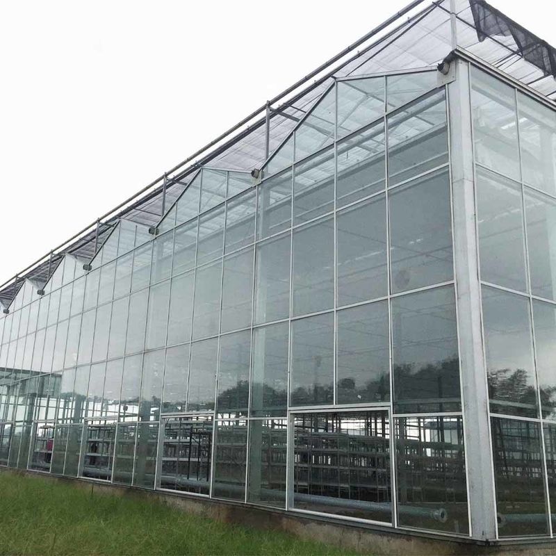 Mehrspannen-Venlo-Glas-Landwirtschaftlichem Gewächshaus mit Dreieckdachform und oberseitiger Lüftung für die Lüftung