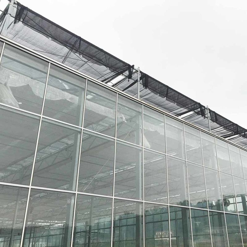 Mehrspannen-Venlo-Glas-Landwirtschaftlichem Gewächshaus mit Dreieckdachform und oberseitiger Lüftung für die Lüftung