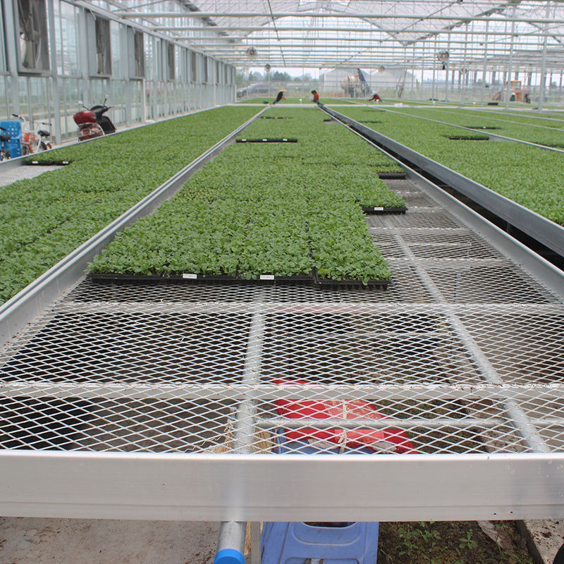 Kundenspezifischer Gewächshaus-Rollwagen-Anbautisch mit einfachem Konstruktionsvorteil und feuerverzinkter Stahlrahmenstruktur