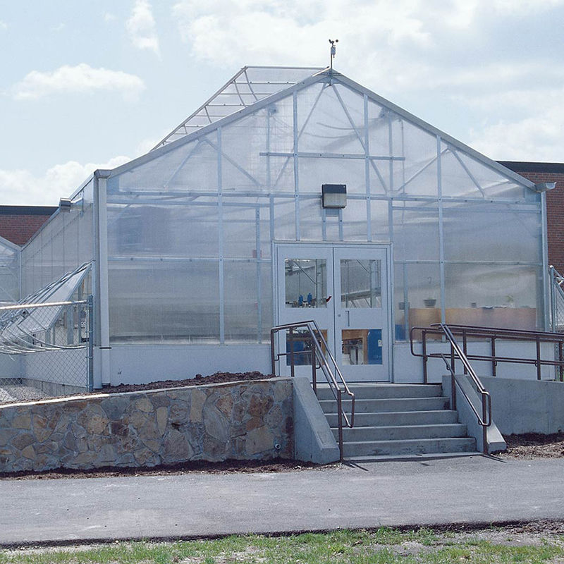 Mehrwändige Polycarbonat-Gewächshäuser mit vielseitigem Einschnitt Ideal für Gemüse Sämlinge Blumen Gartenbau
