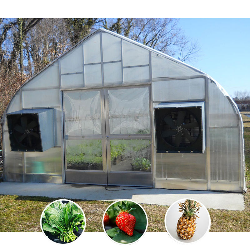 All-Seasons Schattierungssystem Professionelles Venlo Gewächshaus mit vollautomatischem Lichtentzugssystem und integrierten Dachrinnen