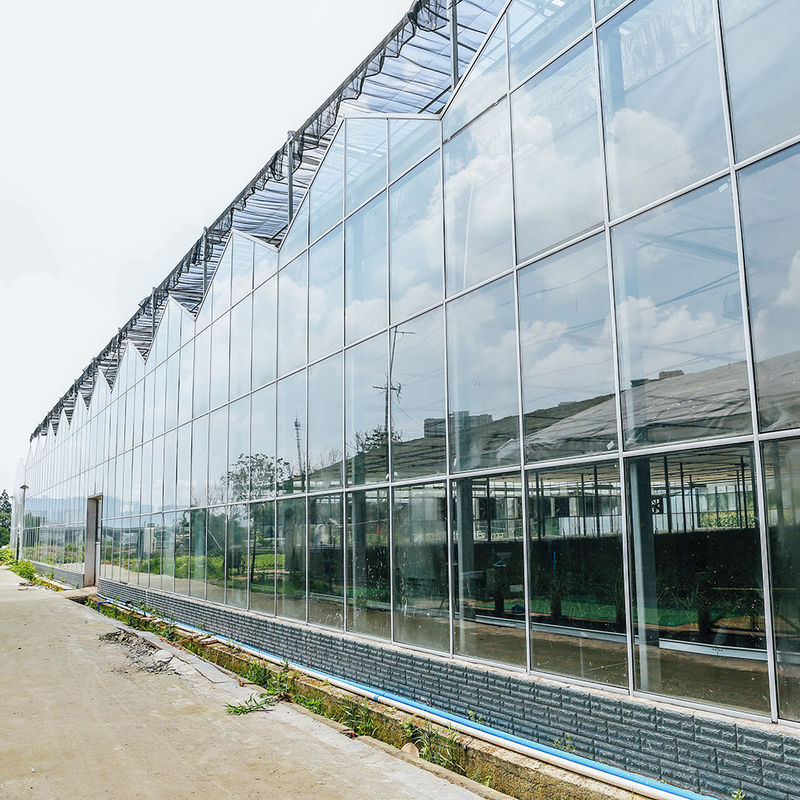 Gartenbau Mehrspannung Landwirtschaftsblumenbau Venlo-Typ Saatglas Gewächshaus