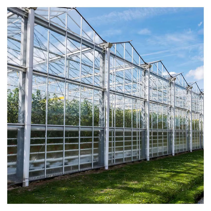 Gewächshaus aus Glas vom Typ Venlo für die Landwirtschaft, niederländische Technik, verzinkter Rahmen für Hydrokultur