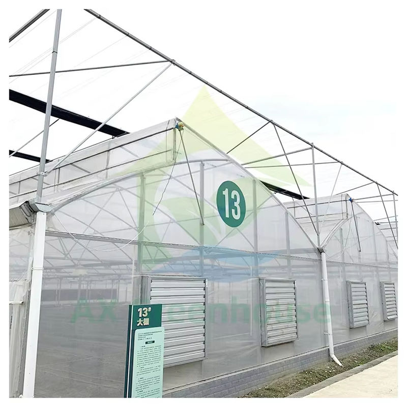 Multi-Span Poly Tunnel Gewächshaus mit Sägezahndach für natürliche Belüftung und Lichtstreuung