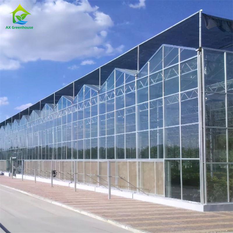 Gemüse-Erdbeer-Anbauausrüstung in langlebigem Glas-Polycarbonat-Gewächshaus - All-in-One-Gewächshaus-Kit