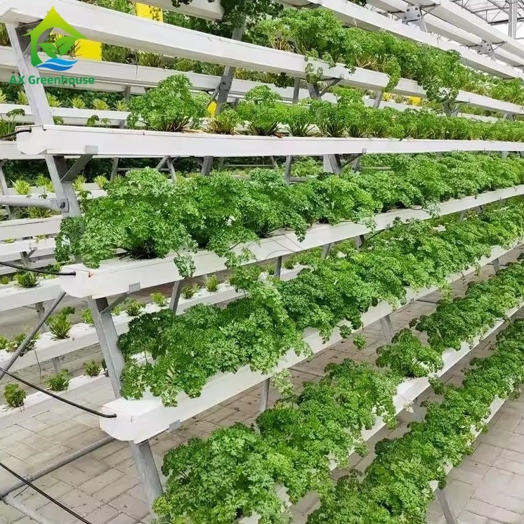 Gewächshaus-Anbausystem ohne Erde A-Rahmen Nährstofffilmtechnik NFT-Kanal effizienter Gemüseanbau