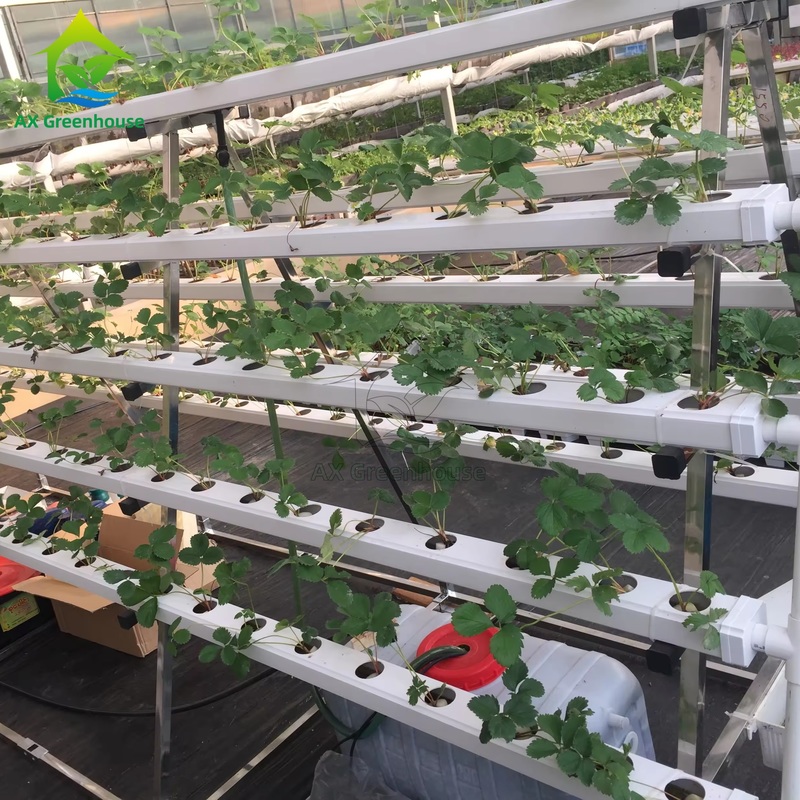 Gewächshaus-Anbausystem ohne Erde A-Rahmen Nährstofffilmtechnik NFT-Kanal effizienter Gemüseanbau