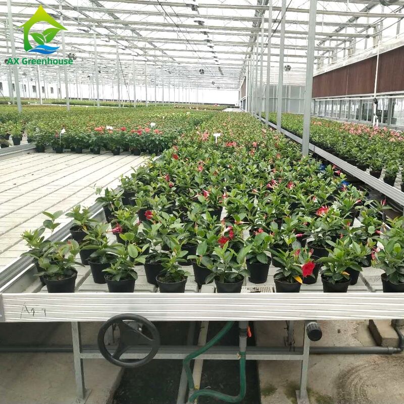 Kommerzielle Aluminiumrahmen Ebb & Flow Bench mit verstellbarer Höhe und integriertem PP/ABS-Tray für Gewächshäuser