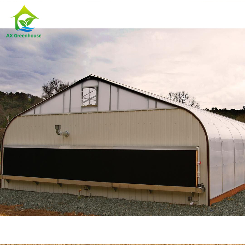 1,8-3M-Wand-Höhen-helles Dep Grow Tunnel Greenhouse With-Klimaregelungs-System