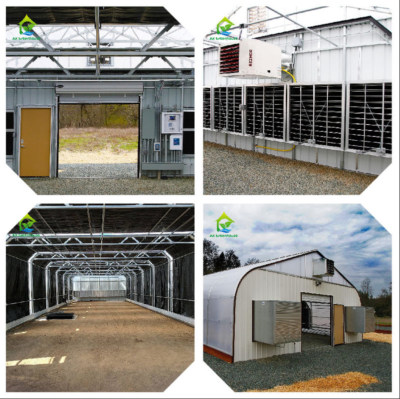 Intelligentes Treibhausüberwachungssystem mit AC220V-Leistung und CO2-Konzentrationsmesser von 0 bis 50000 PPM für eine optimale Klimakontrolle