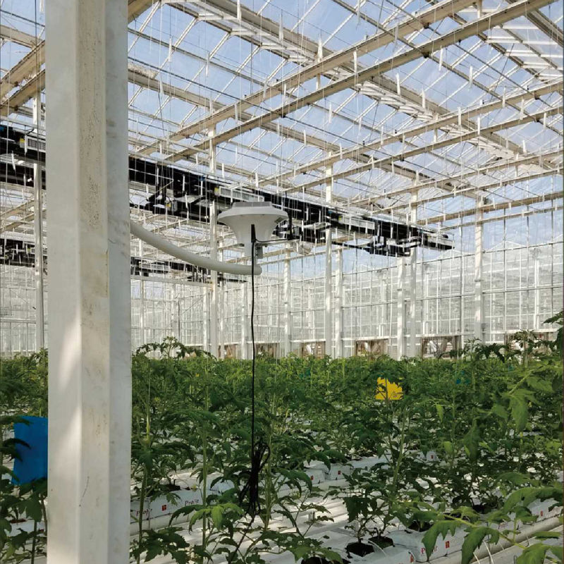 Intelligentes Treibhausüberwachungssystem mit AC220V-Leistung und CO2-Konzentrationsmesser von 0 bis 50000 PPM für eine optimale Klimakontrolle