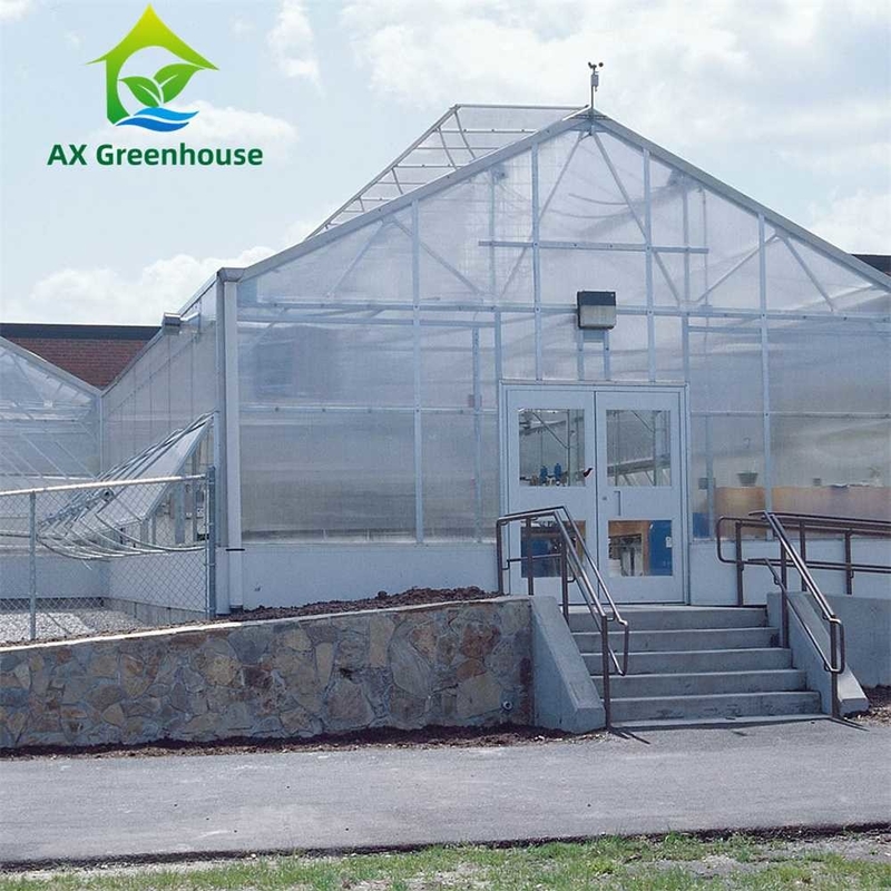 Pflanzenanbau Einfachspann Polycarbonat PC-Blatt Gewächshaus mit stabiler Struktur und einfacher Montage