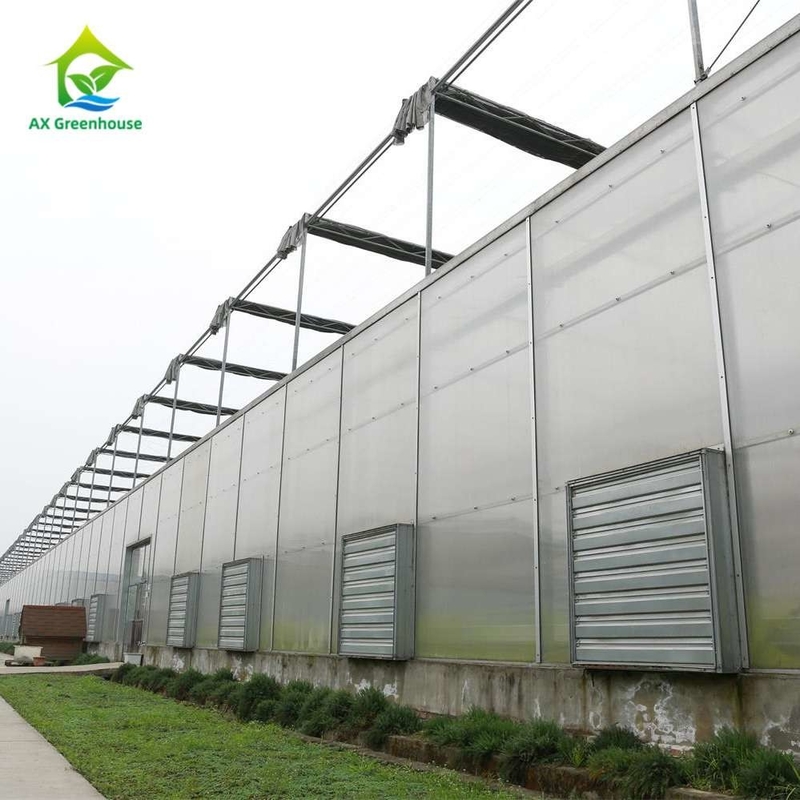 Pflanzenanbau Einfachspann Polycarbonat PC-Blatt Gewächshaus mit stabiler Struktur und einfacher Montage