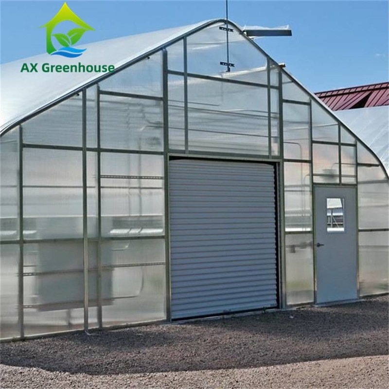 Einzelne Wind-Last Spannen-Doppelschicht 8mm PC Blatt-Gewächshaus Venlo 0.5KN/M2