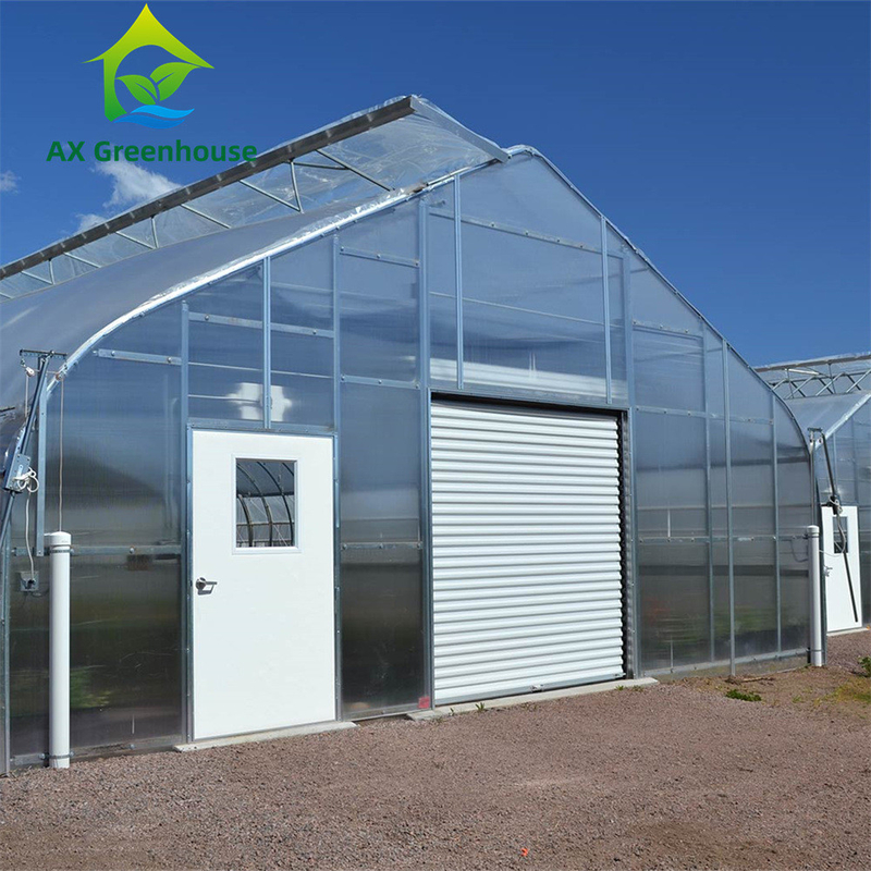 Mehrwändige Polycarbonat-Gewächshäuser mit vielseitigem Einschnitt Ideal für Gemüse Sämlinge Blumen Gartenbau