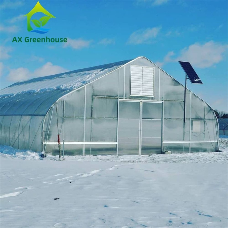 Mehrwändige Polycarbonat-Gewächshäuser mit vielseitigem Einschnitt Ideal für Gemüse Sämlinge Blumen Gartenbau